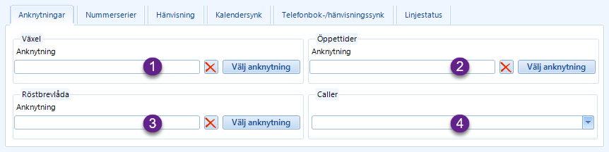 Anknytningsinställningar
